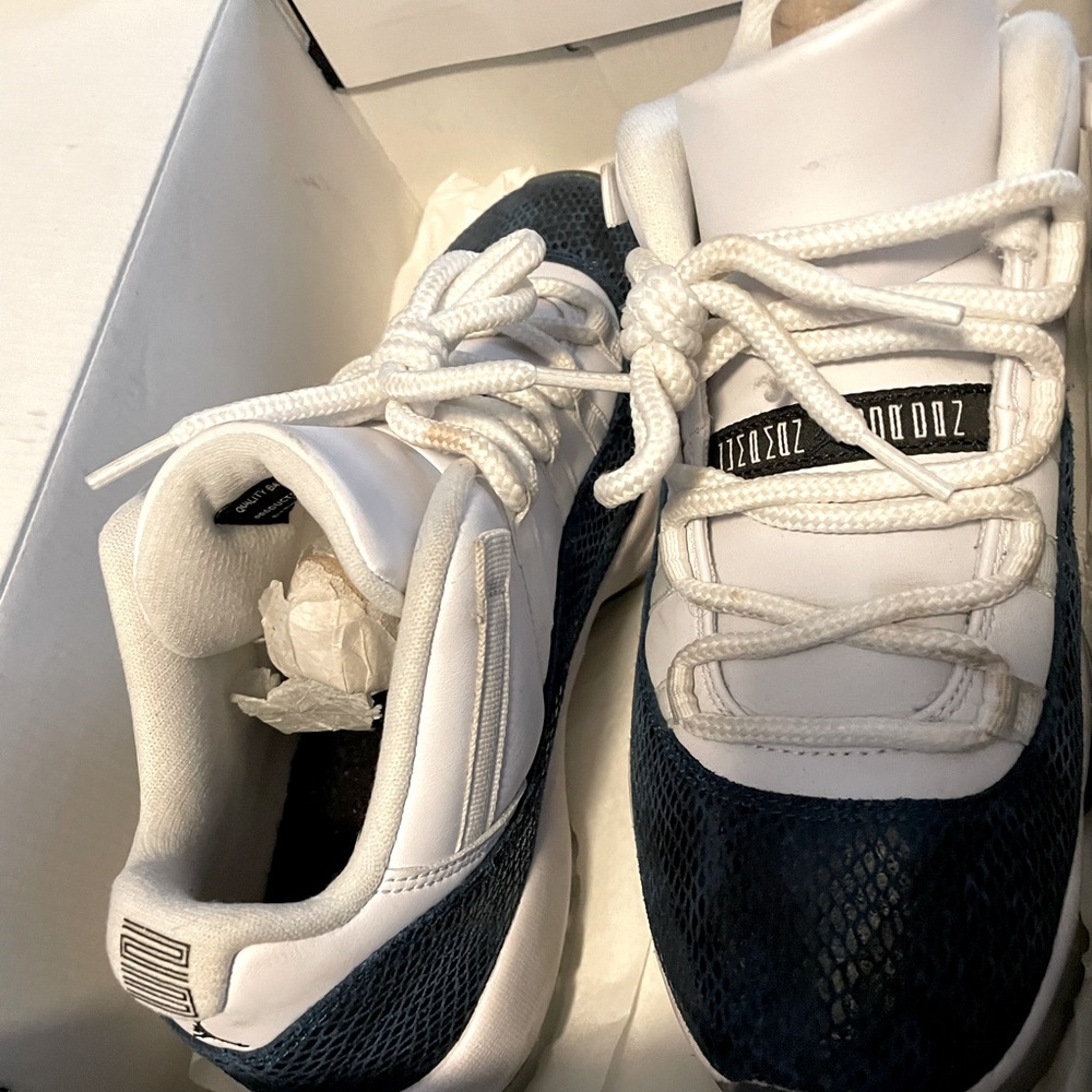Jordan 11 lows snakeskin
